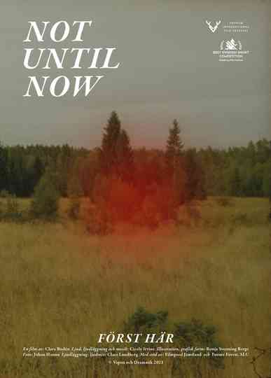 Not Until Now Poster