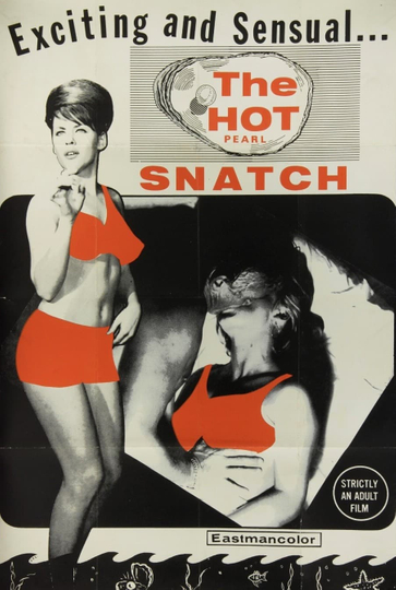 The Hot Pearl Snatch Poster