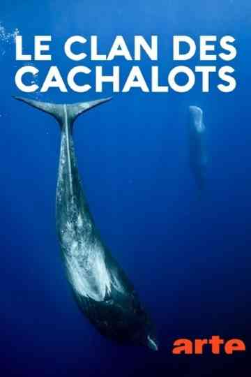 Le clan des cachalots Poster
