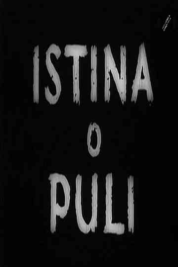 The Truth About Pula Poster