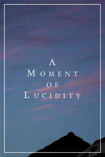 A Moment of Lucidity Poster