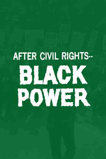 After Civil Rights... Black Power Poster