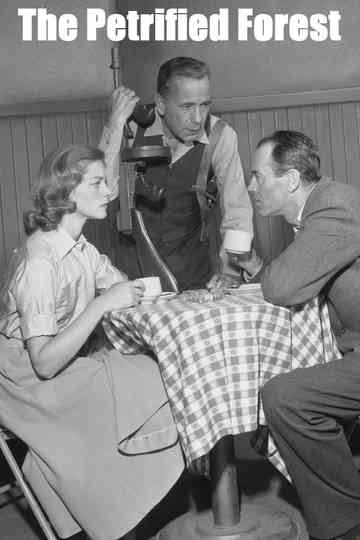 The Petrified Forest Poster