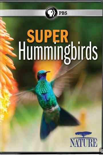 Super Hummingbirds Poster
