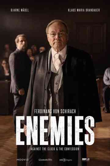 Enemies The Confession