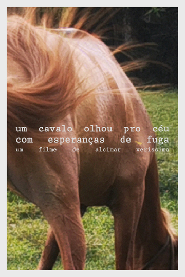 A horse looked at the sky with hope of escape Poster