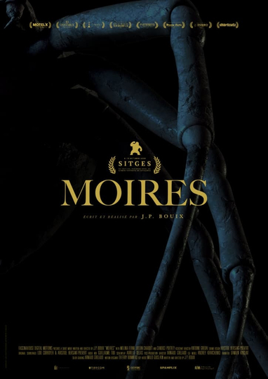 Moires Poster