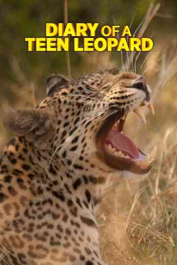 Diary of a Teen Leopard Poster