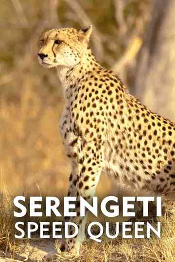 Serengeti Speed Queen Poster