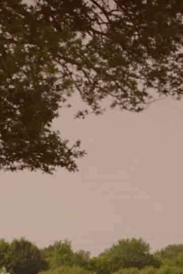 Whats Killing Our Bees Poster