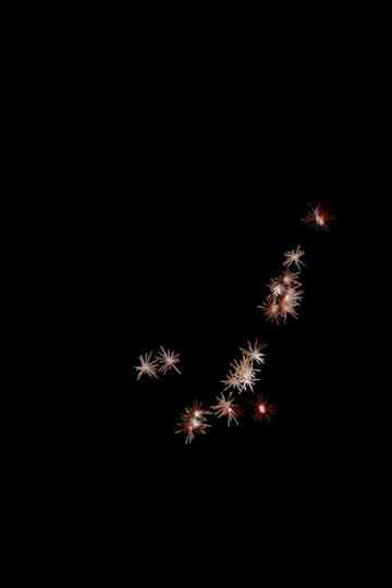 In Tinseltown Poster