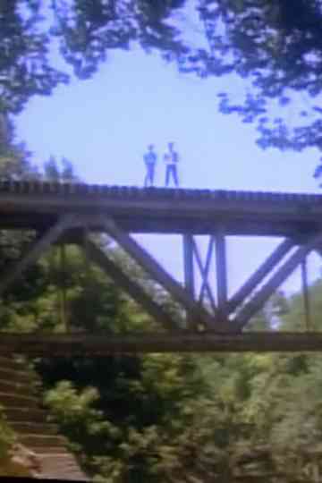 Has Anybody Seen Phil? Poster