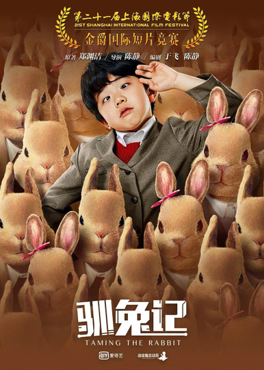 Taming the Rabbit Poster