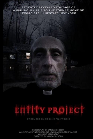 Entity Project Poster