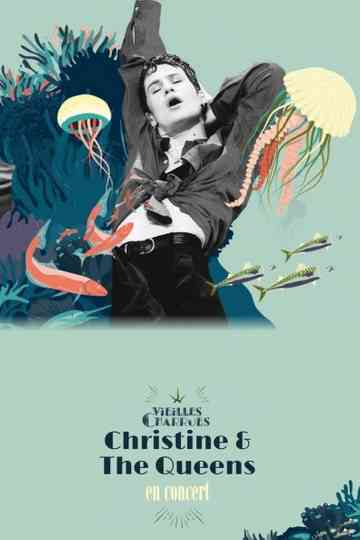 Christine and the Queens  Live aux Vieilles Charrues Poster
