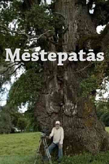 Were Still Here Poster