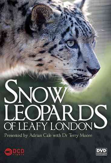 Snow Leopards of Leafy London Poster