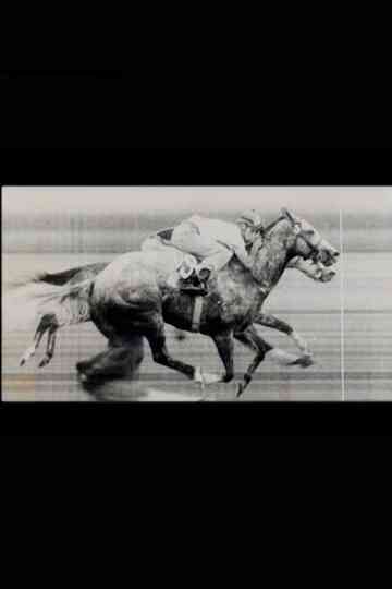 Final con foto Poster