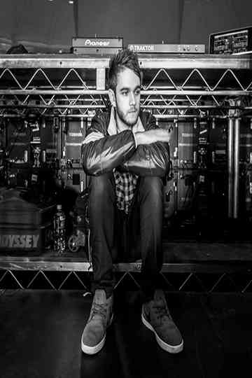 Zedd Moment of Clarity Poster