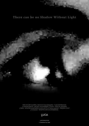 There can be no Shadow Without Light Poster