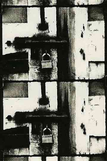 Full Moon Darkness Poster