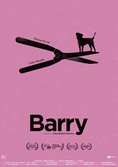 Barry Poster