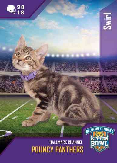 Kitten Bowl VIII Special Poster