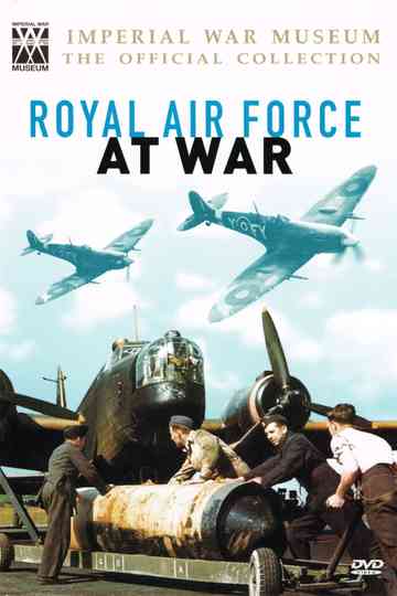 Royal Air Force at War Poster