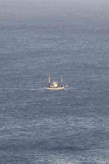 Three Days My Friend Poster