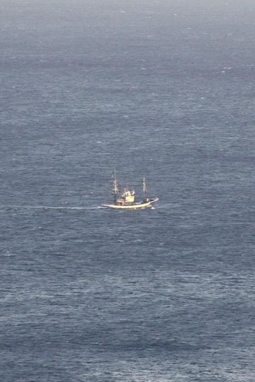 Three Days My Friend