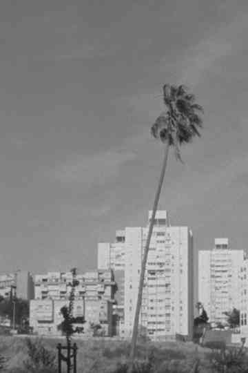 Thirteen Ways of Looking at a Blackbird Poster