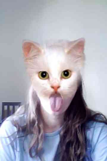 cats spirt spsit spit Poster