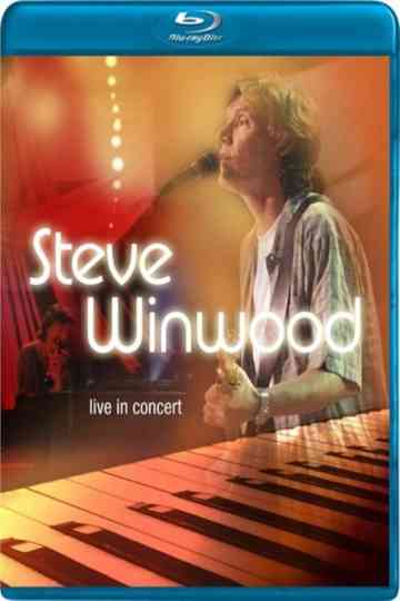 Steve Winwood Live in Concert Poster