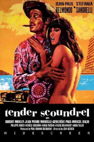 Tender Scoundrel Poster