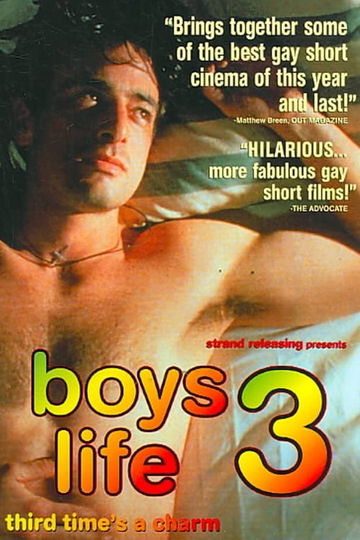 Boys Life 3 Poster