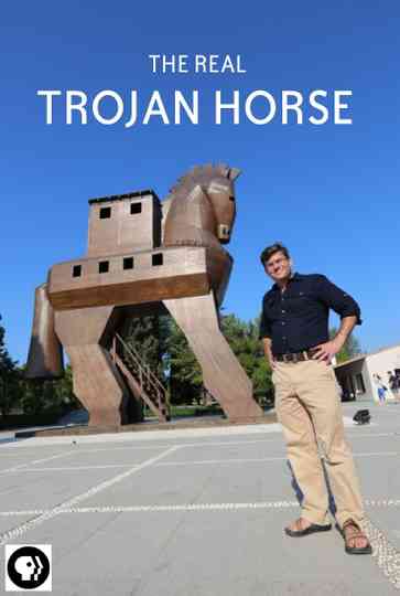 Secrets of the Dead: The Real Trojan Horse Poster