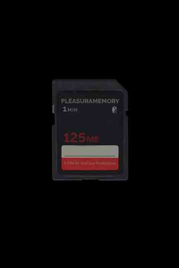 Pleasuramemory Poster