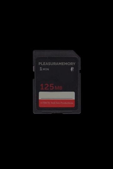 Pleasuramemory