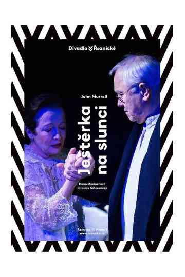 Ještěrka na slunci Poster