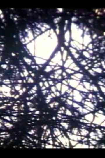 Fragmentos Primera Impresión en S8 Poster