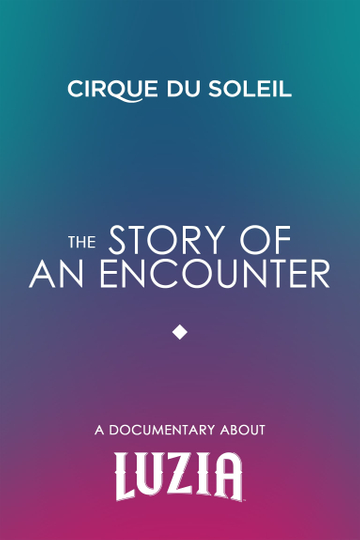 The Story Of An Encounter Poster