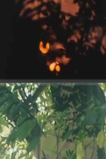 Whispering Light Poster