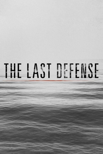 The Last Defense Poster