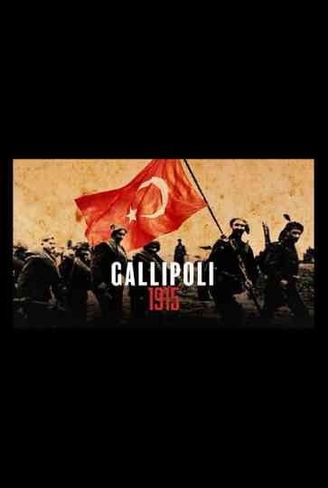 Gallipoli 1915 Poster