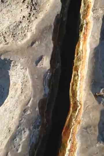 A MEDITATION ON NATURE IN THE ABSENCE OF AN ECLIPSE Poster