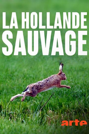 La Hollande sauvage  Dans loeil du delta