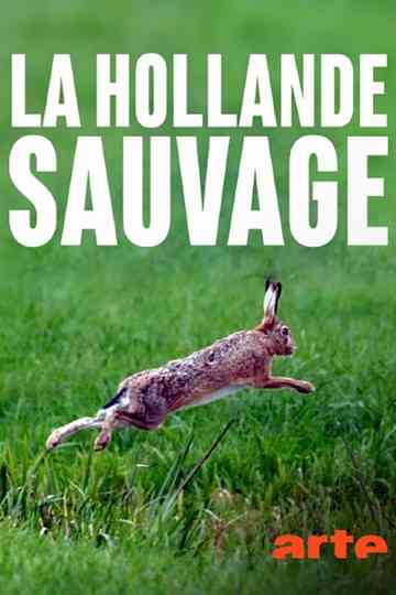 La Hollande sauvage -  La faune des polders Poster