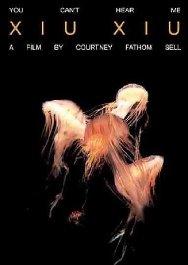 Xiu Xiu: You Can’t Hear Me Poster