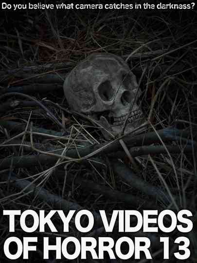 Tokyo Videos of Horror 13 poster