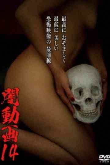Tokyo Videos of Horror 14 poster